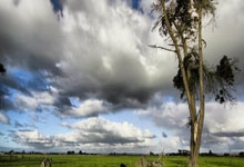 红包赛形势:10人排序确定,名将坐4望3,首轮签.