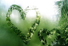 张之臻因伤退赛 无缘ATP250马赛站男单四强.