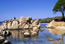 杏彩体育官网:利雅得胜利门将:C罗堪称典范;人们对沙特联赛抱有偏见.